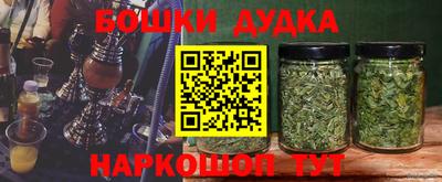 сатива Краснознаменск