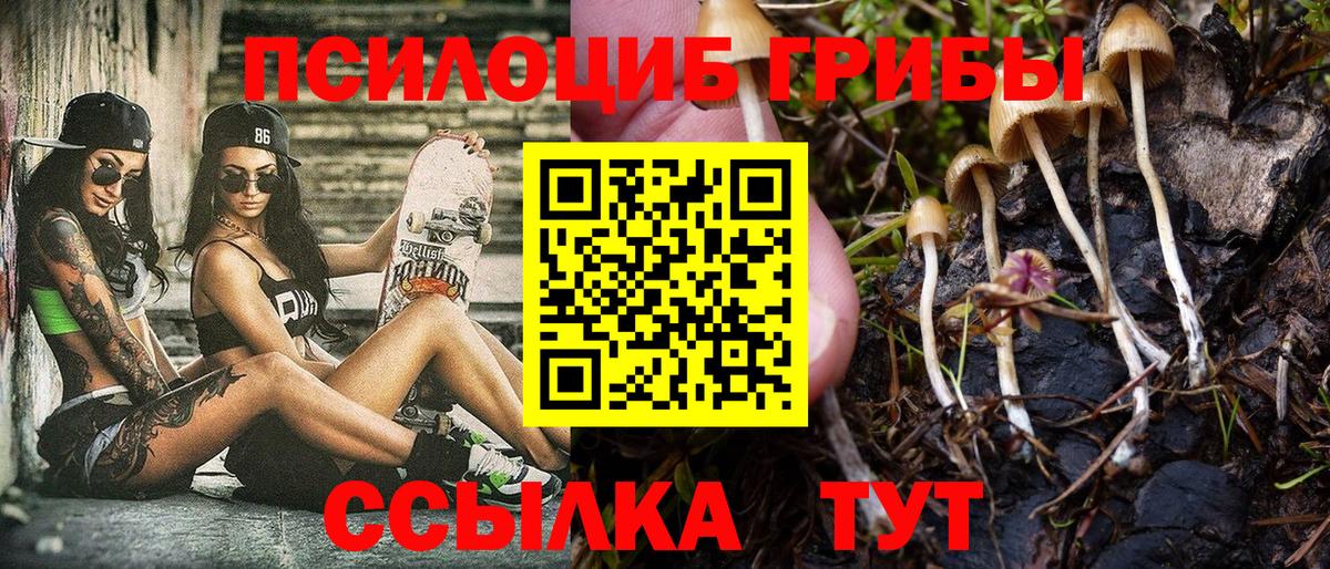 Карпинск  Галлюциногенные грибы прущие грибы  Вход с VPN 